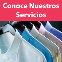 Servicios